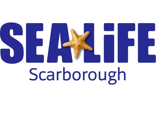 SEA LIFE Scarborough Standard Entry